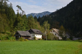 Отель The farmhouse Bevsek Osep  Солкава